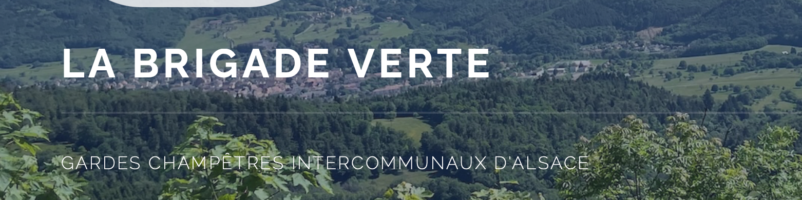 Nouveau site internet de la Brigade Verte d'Alsace