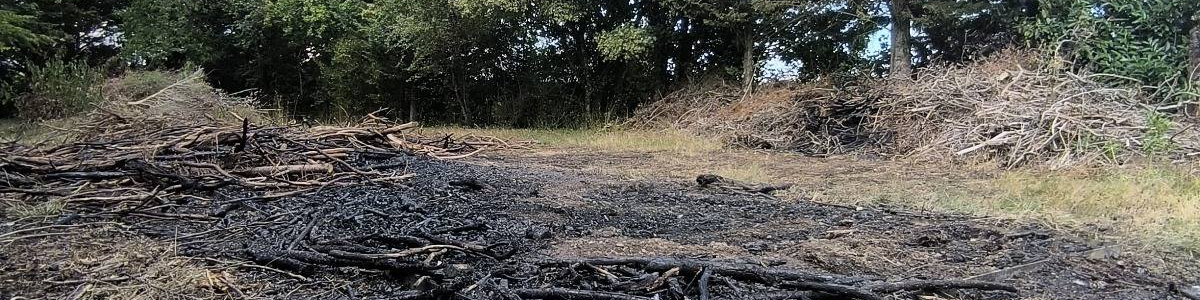 🚨 Feu de végétaux maîtrisé grâce à une action rapide 🌿🚒