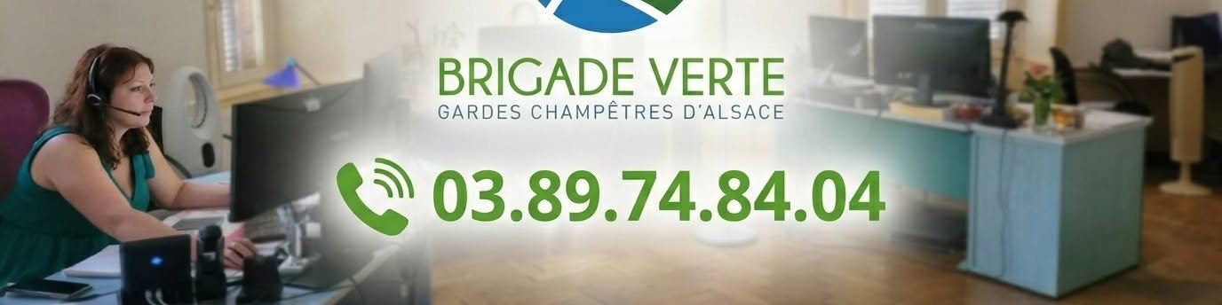 📞 Adopter les bons réflexes… pour mieux nous aider à vous aider !
