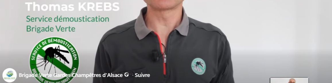 🦟 Moustique tigre : adoptons les bons gestes !