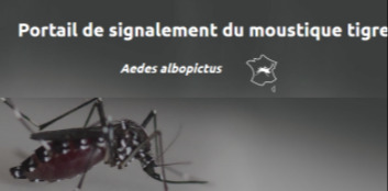 Signaler